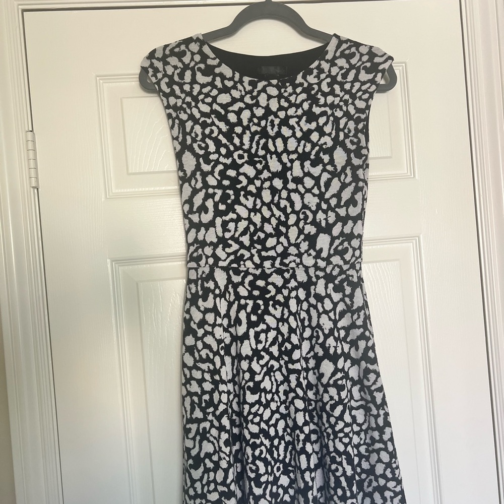Aqua Black and White Animal Print Mini Dress